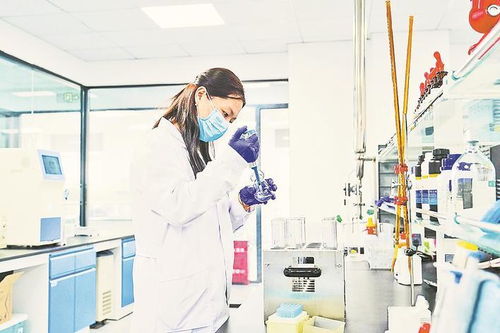 石家莊細胞工廠生產忙碌，鳳凰網河北報道其網絡文化經營新動向